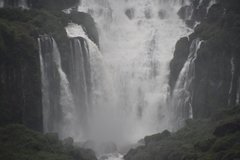 brazilie8303