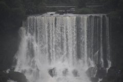 brazilie8307