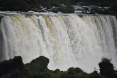 brazilie8313