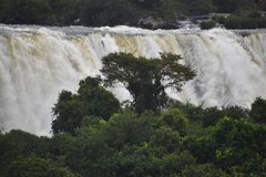 brazilie8314