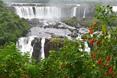 brazilie8317