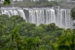 brazilie8321