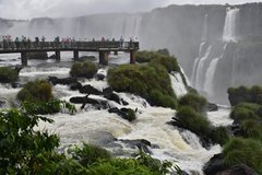 brazilie8323