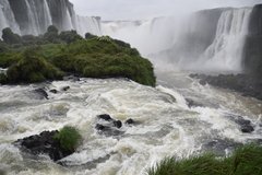 brazilie8334