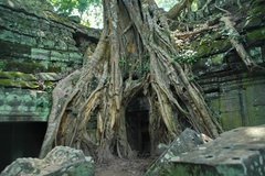 cambodja2016