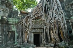 cambodja2019