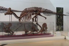 canada1190