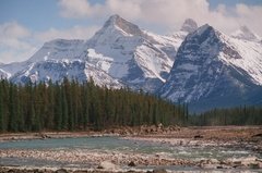 canada6802