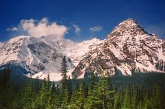canada6806