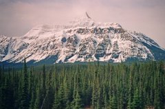 canada6815