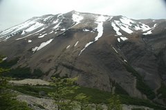 chili4169