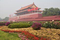 china1005