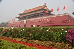china1006