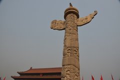 china1009