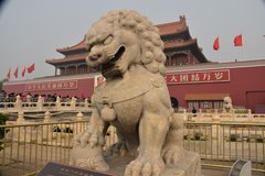 china1010