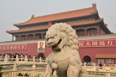 china1011