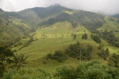 colombia3003