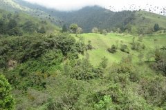 colombia3005