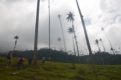 colombia3007