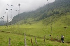 colombia3008