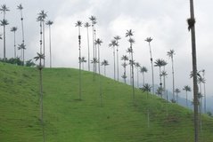 colombia3013