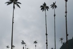 colombia3014