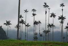 colombia3015