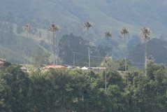colombia3016