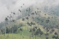 colombia3018