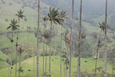 colombia3020