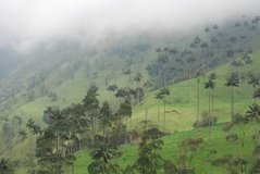 colombia3021
