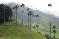 colombia3024