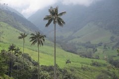 colombia3025