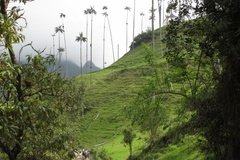 colombia3026