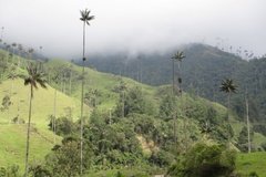 colombia3027