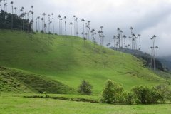 colombia3029