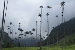 colombia3030