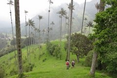 colombia3034