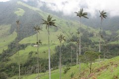 colombia3035