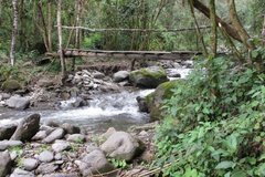 colombia3040