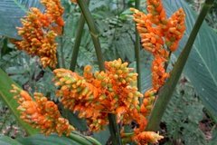 colombia3092
