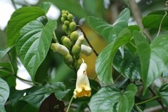 colombia3093