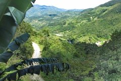 colombia5500