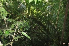 colombia5504