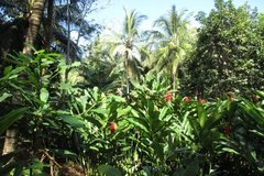 colombia6006