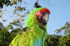 colombia6021