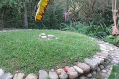colombia6050