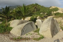 colombia9004