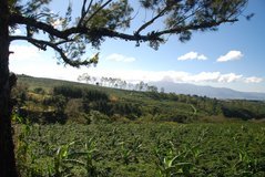 costarica2005