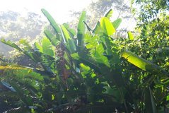costarica3002